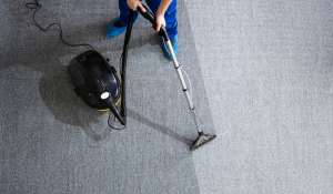 How to Get Mold Out of Carpet How to Get Mold Out of Carpet